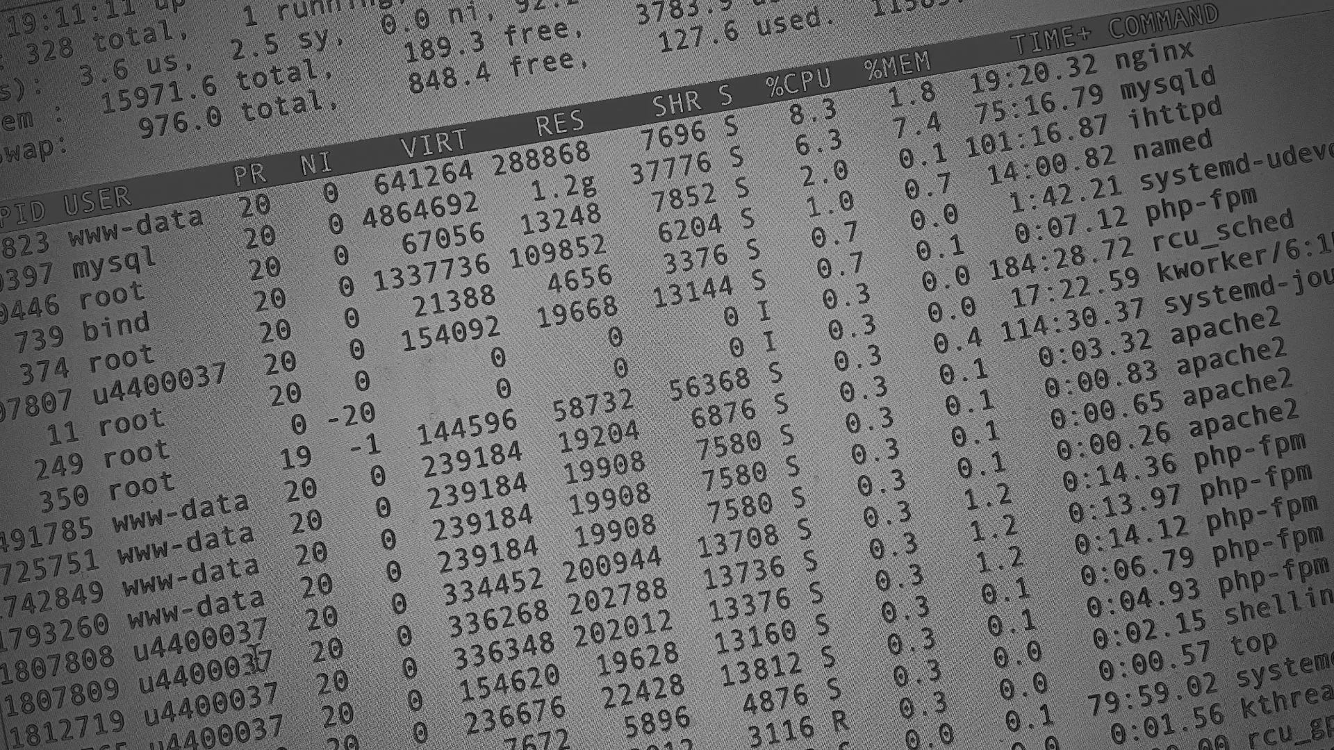 Настройка сервера в Кеми Настройка сервера в Кеми
